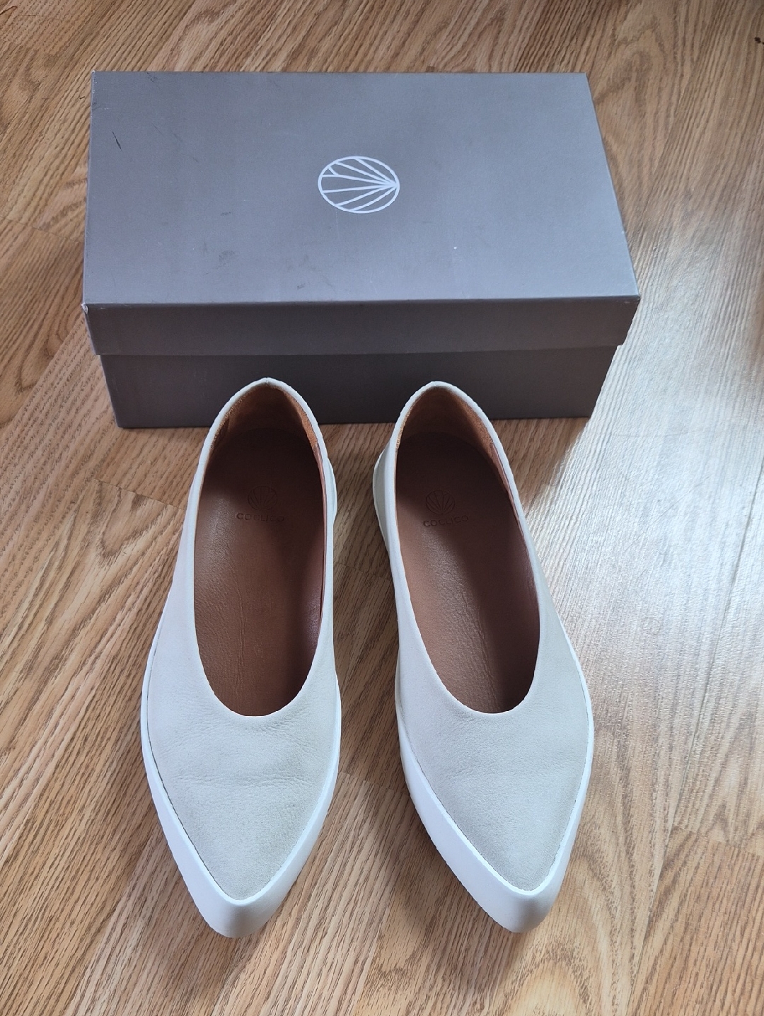 Coclico Regal Shoes In Color Greige